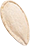 seed